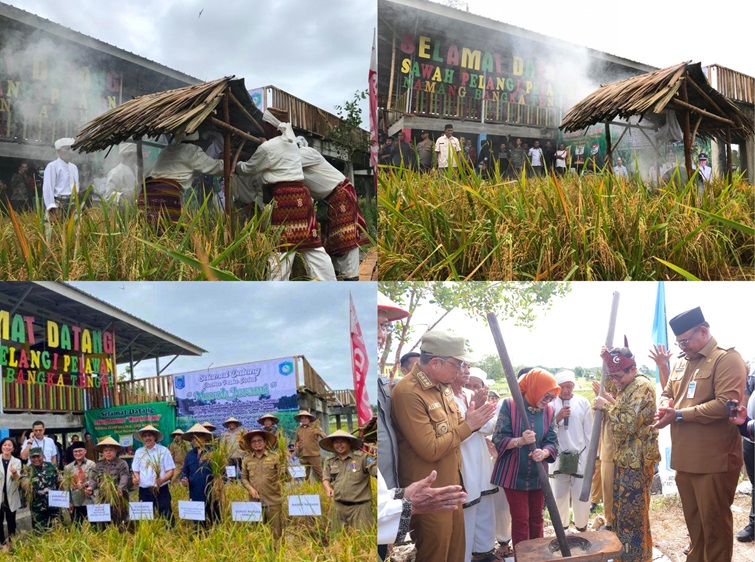 Wisata Budaya (Murok Jerami)